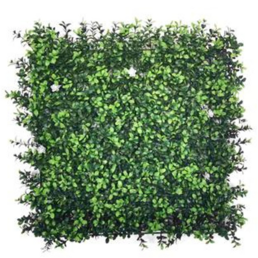 קיר ירוק אקספרס דגם פרח לבן 50/50 ס"מ