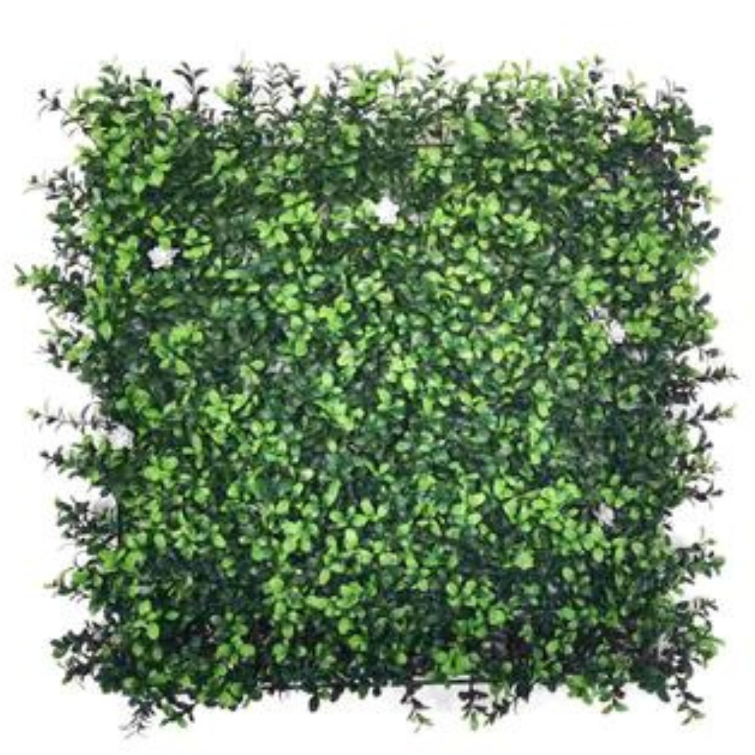 קיר ירוק פרח לבן 50/50 ס"מ