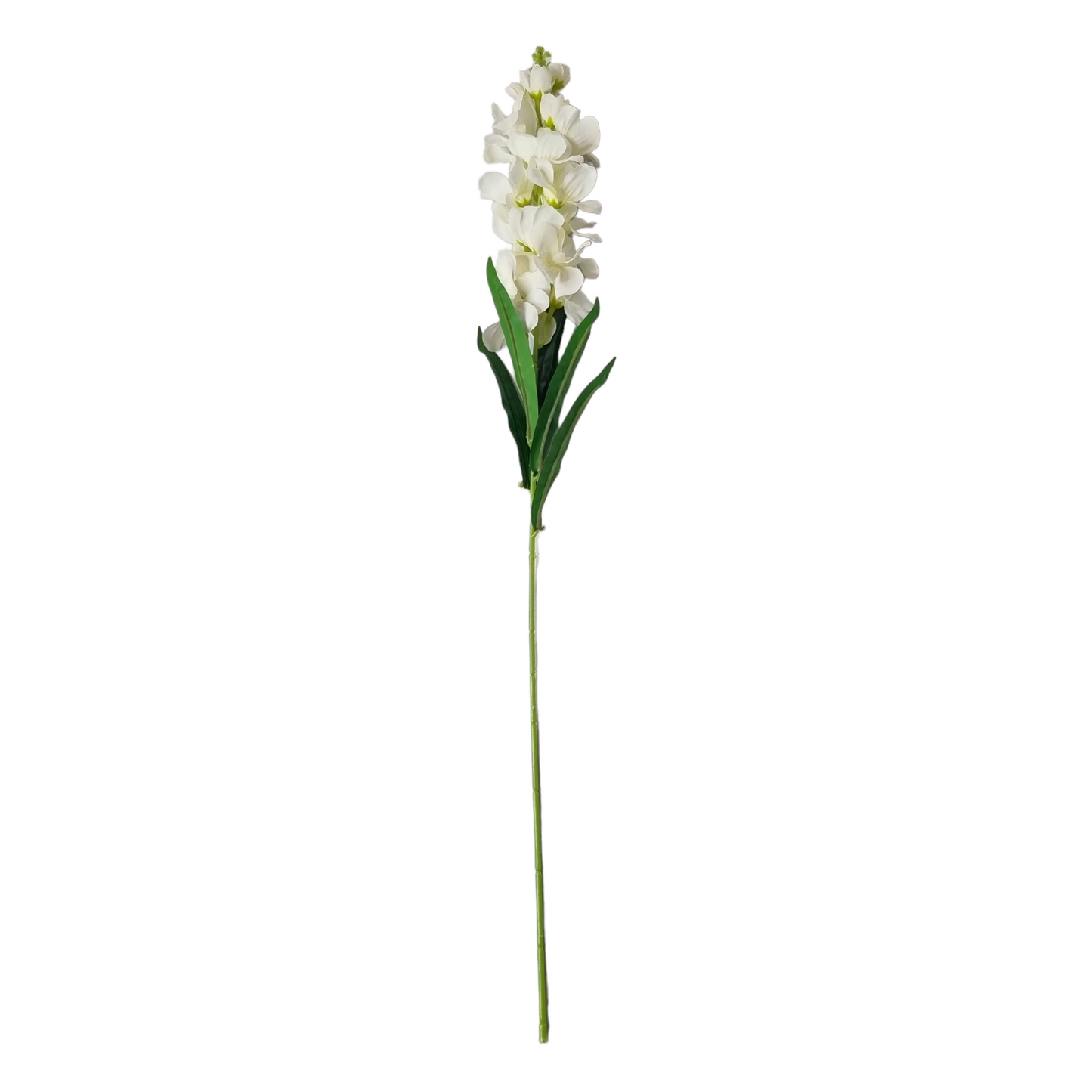 פרח פרסיה לבן 80 ס"מ